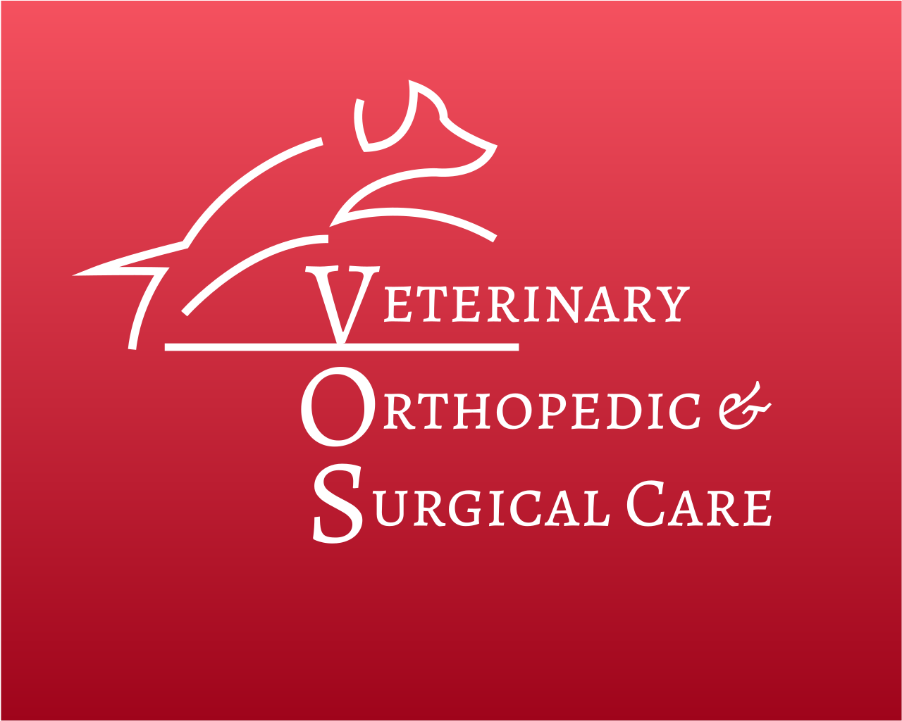 non-surgical-services-veterinary-orthopedic-surgical-care-center